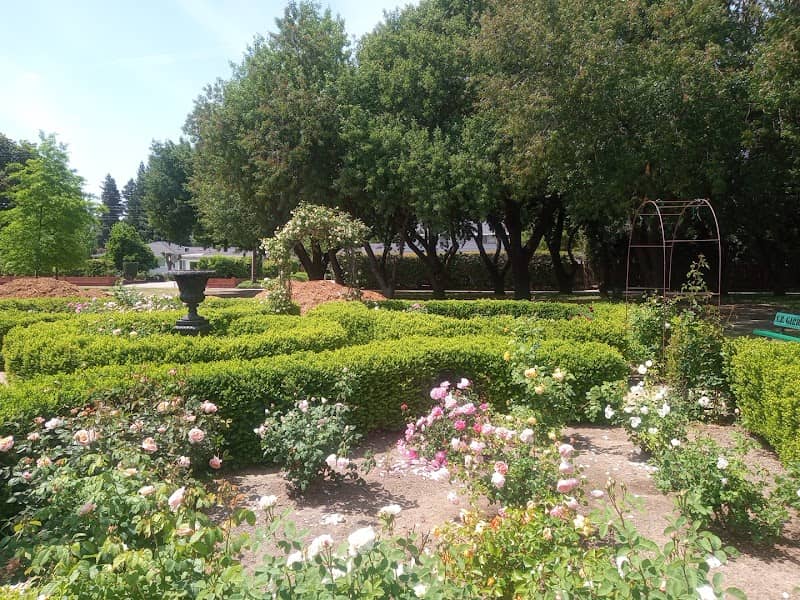 Rose Garden - Image 3
