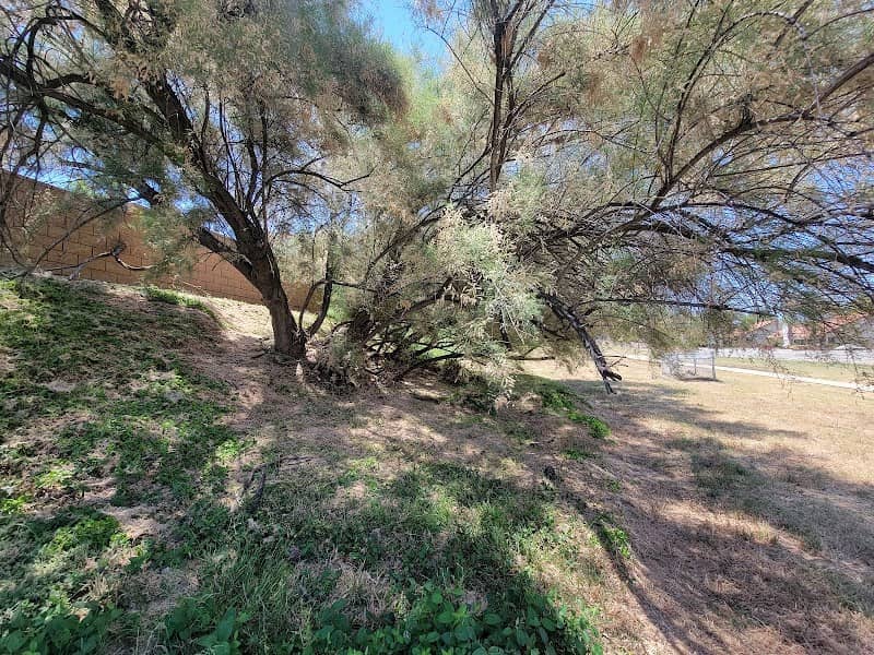 Griffin Park - Image 2
