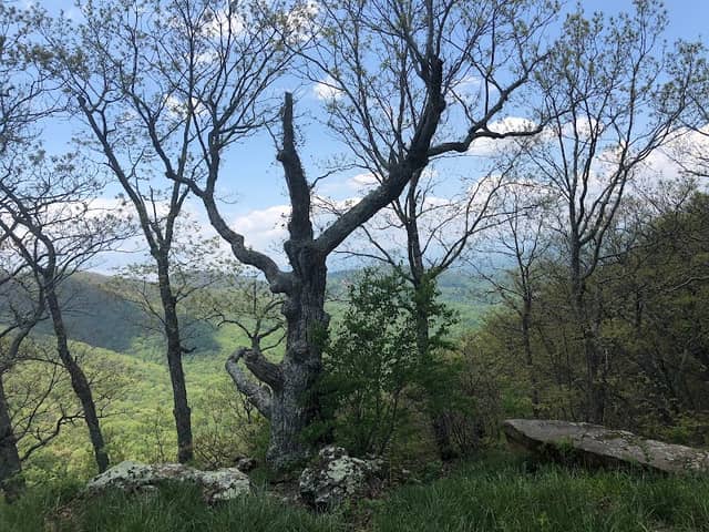 Elk Mountain Preserve - Image 2