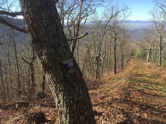 Elk Mountain Preserve - Image 3
