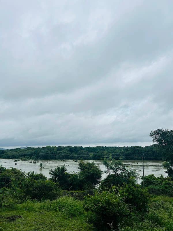Gavigudi ಗವಿಗುಡಿ - Image 1