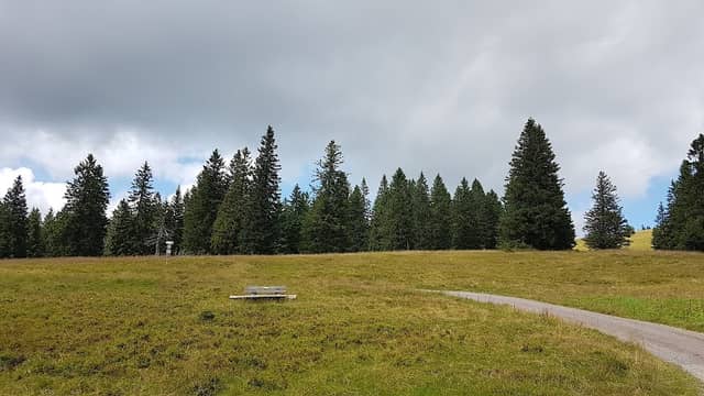 Wanderwege zum Feldberg - Image 3
