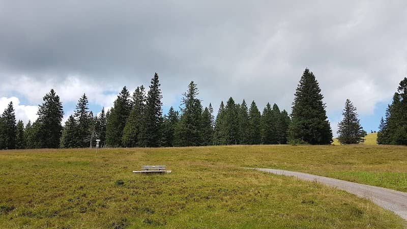 Wanderwege zum Feldberg - Image 3