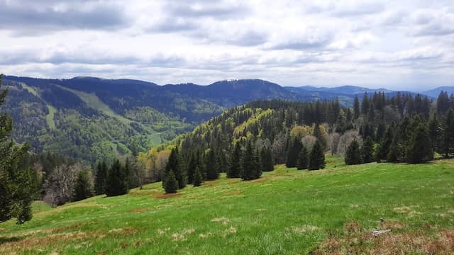 Wanderwege zum Feldberg - Image 1