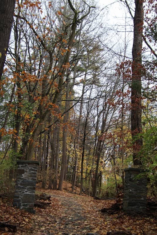 Springside Landmark - Image 3
