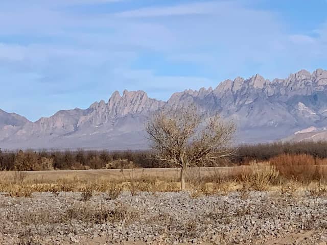 Mesilla Valley Bosque State Park - Image 3