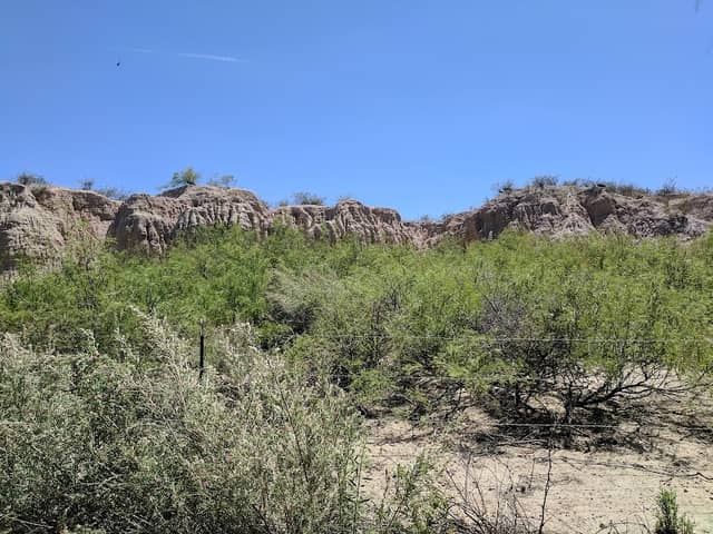 Mesilla Valley Bosque State Park - Image 1