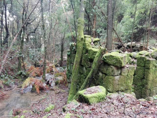 Moinhos do Mezio - Image 1