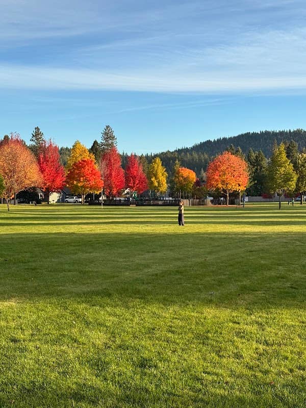 Shadduck lane park - Image 1