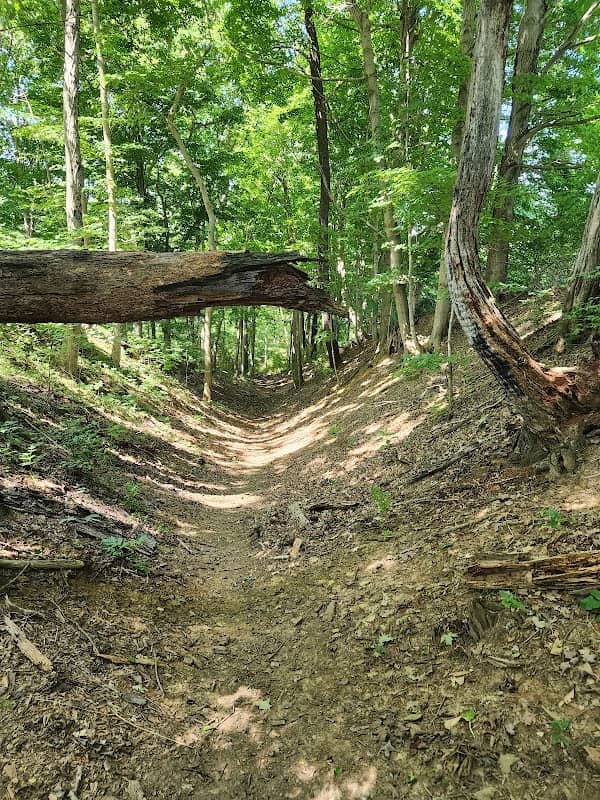 Cummins Nature Preserve - Image 2