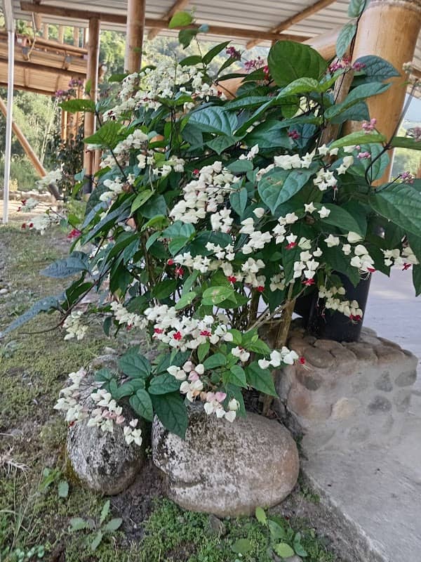 Estancia Río Blanco - Image 1