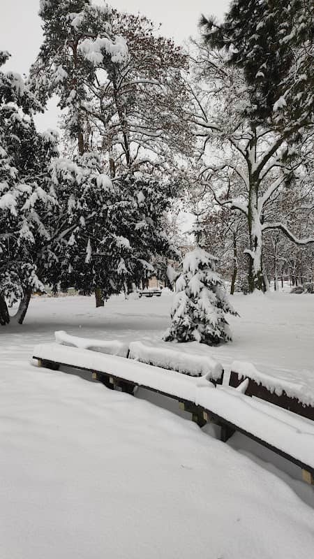 Kašna Husův park v Táboře - Image 1