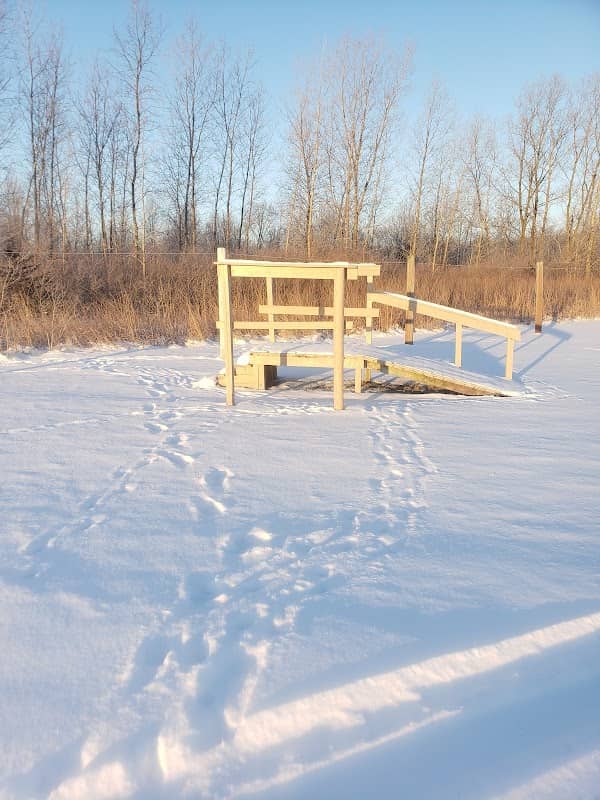 White Star Park: Horse Trails - Image 2