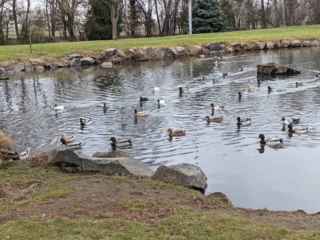 Jefferson Park - Image 2