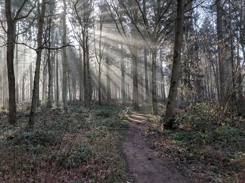 Oakley Wood - WWT - Image 2