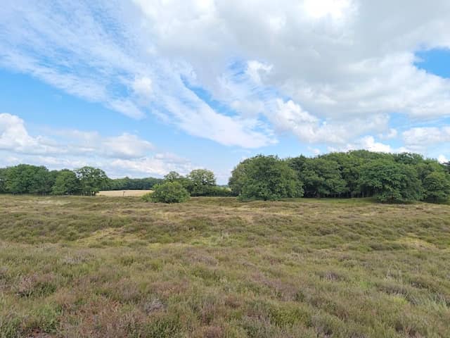 Gasterse Duinen - Image 1