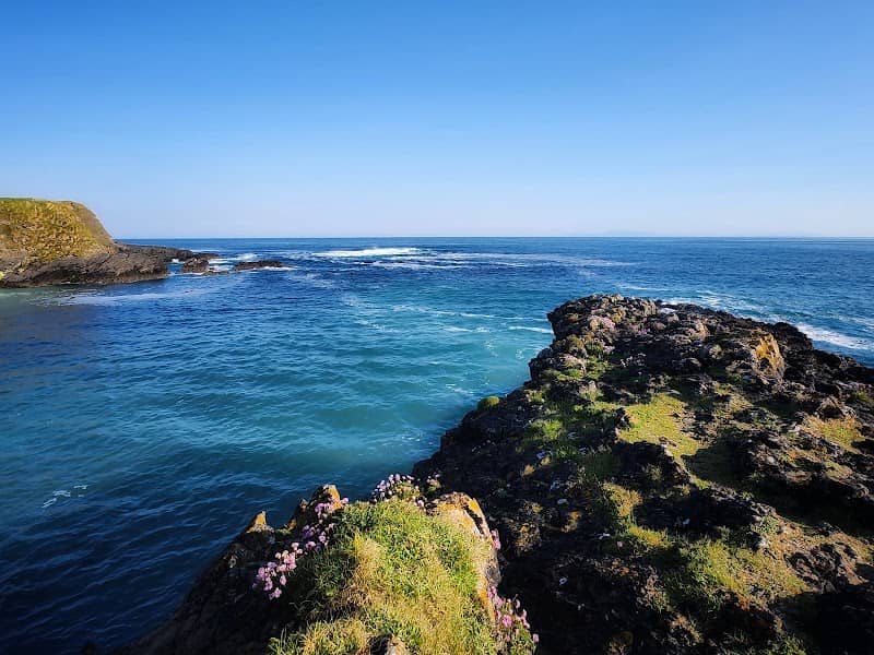 Aughris Coastal Walk - Image 1