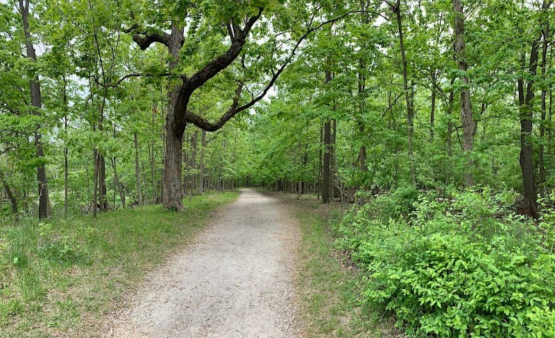 Linne Woods - Image 1