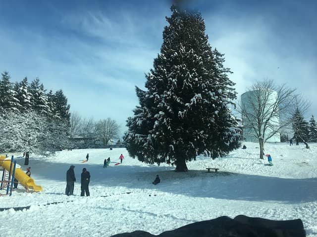 Hill Tower Park - Image 2