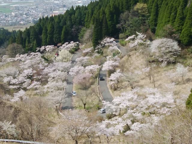 Takamori Senbonzakura - Image 2