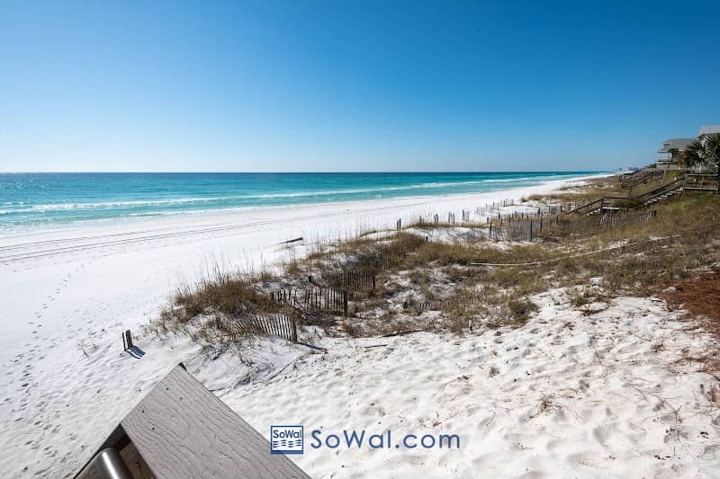 Dune Allen Regional Beach Access - Image 3