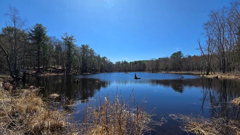 Thompson Dam - Image 1
