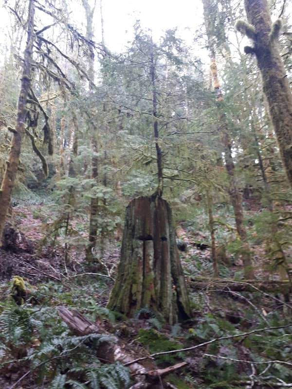 Kingburne Park - Image 2