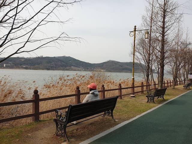 Sinjeongho Park(Lotus Garden) - Image 1