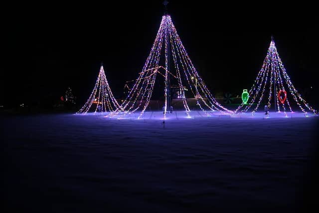 Stockton Holiday Lights - Image 2