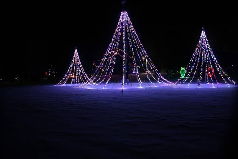 Stockton Holiday Lights - Image 2