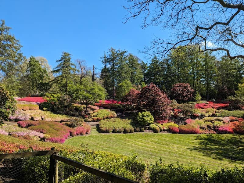 The Valley Gardens - Image 1