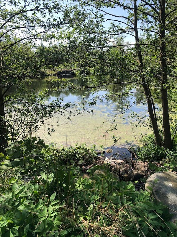 Natural reservoar - Image 3