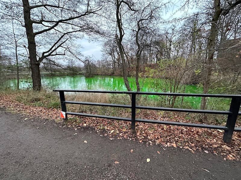 Natural reservoar - Image 2