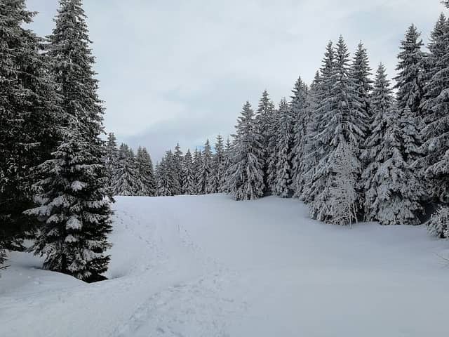 Le Turet - Image 1