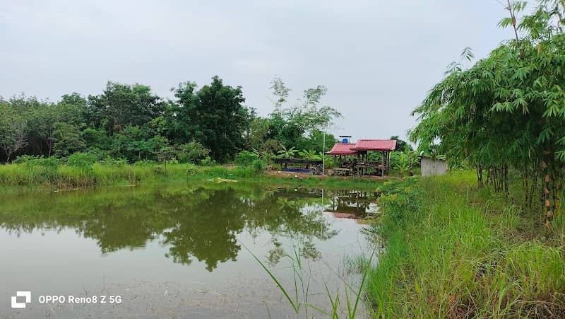 สวนเกษตรผสมผสานตาวาฬ&ยายน้อย - Image 1