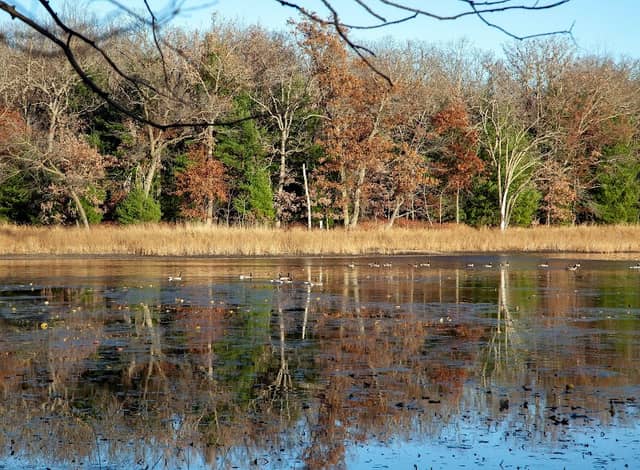 Wayside Park Dakota, WI - Image 2