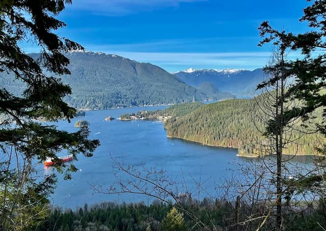 Burnaby Mountain View - Image 1