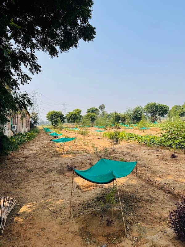 Lucky krishi farm house - Image 1
