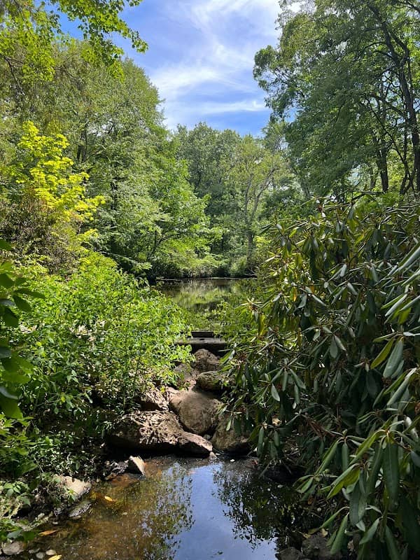 Houghton Garden - Image 2