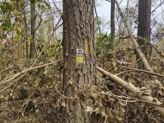 Enoree Dev Trail Crossing - Image 1