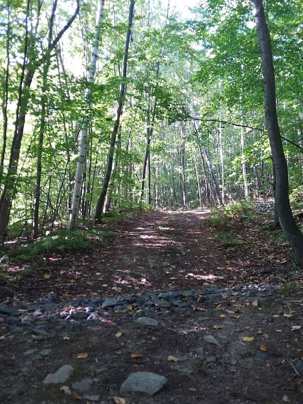 Little Hogback Community Forest - Image 1