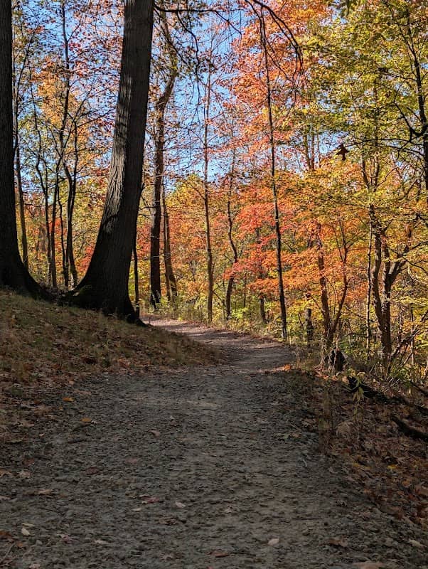 Lookout Ridge Overlook - Image 2