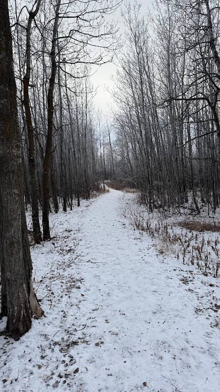 Coal Mine Park - Image 1