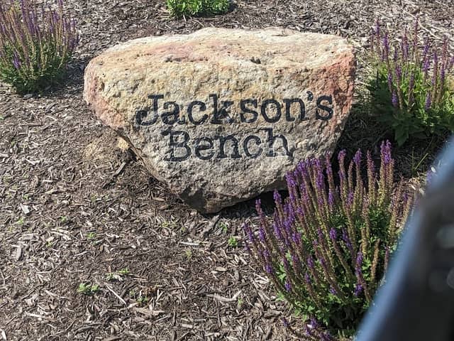 Jackson's Bench - Image 2