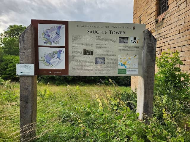 Sauchie Tower - Image 2