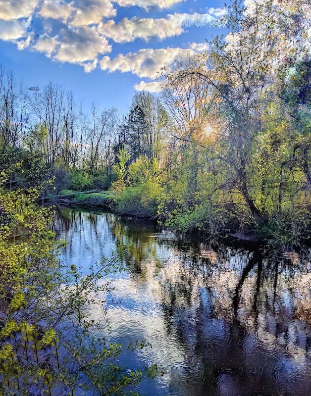 Vassar Roadside Park - Image 2