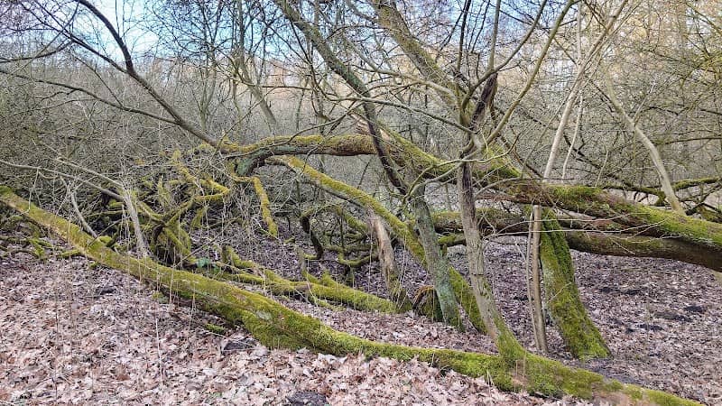 Stellmoor-Ahrensburger Tunneltal - Image 2