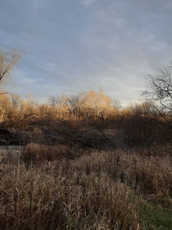 Anderson Bend Conservation Area - Image 1