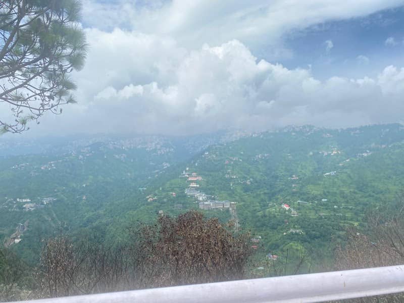 View Gallery - Image 1