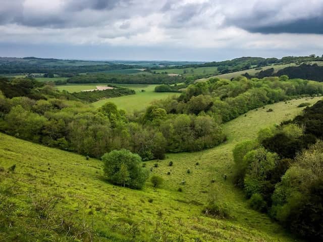 Old Winchester Hill - Image 3